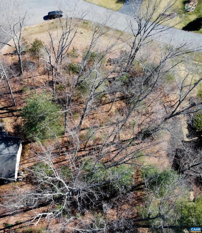 0 Lake Dr unit 649061, Ruckersville, VA 22968 - photo 6