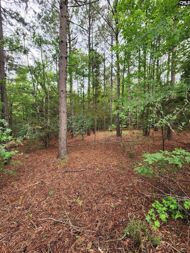 0 Elm St, Prosperity, SC 29127 - photo 5