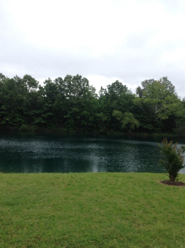 Neighborhood Lake
