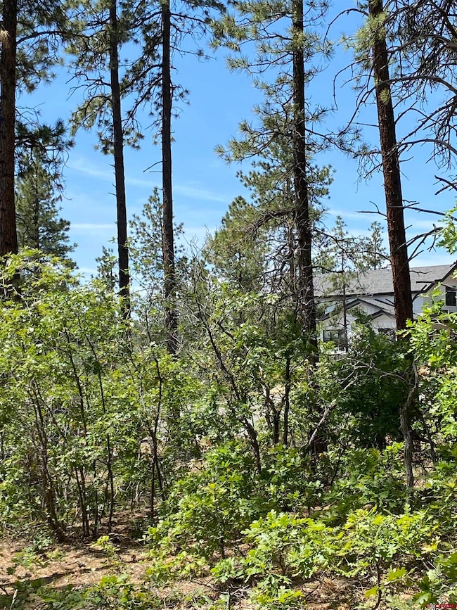 163 Boulder View Dr, Durango, CO 81301 - photo 2