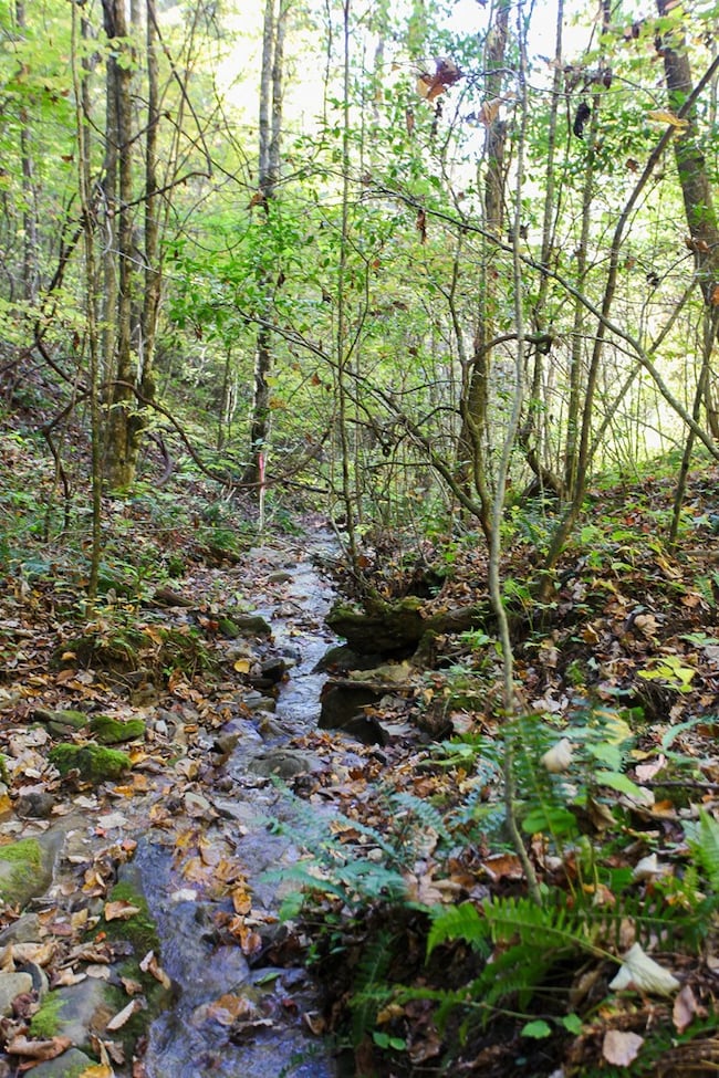 Lot 43 Falls View Rd, Bryson City, NC 28713 - photo 7