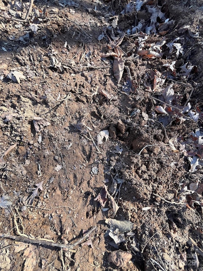 000 Hudlow Rd unit 2, Forest City, NC 28043 - photo 6