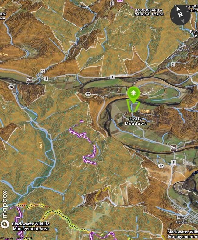 0 Route 1 (Rr), Parsons, WV 26287 - photo 6