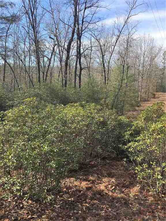 Lay Mill Rd Cowan Prop, Walhalla, SC 29691 - photo 6