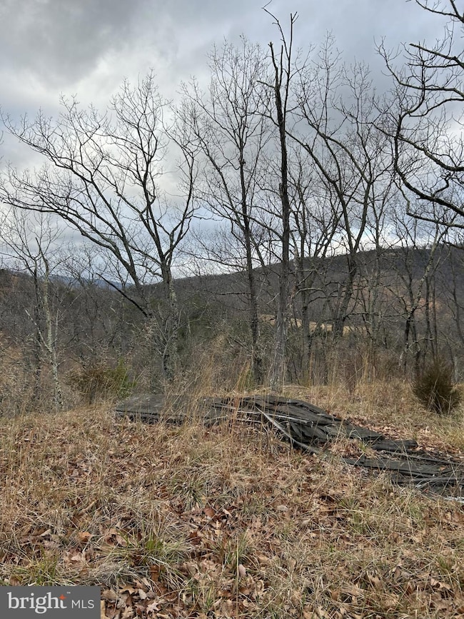 365 Strauter, Franklin, WV 26807 - photo 4