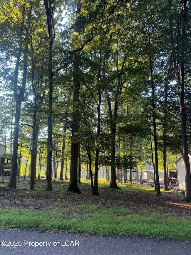 E-114 Conyngham Dr, Hazle Township, PA 18202 - photo 2