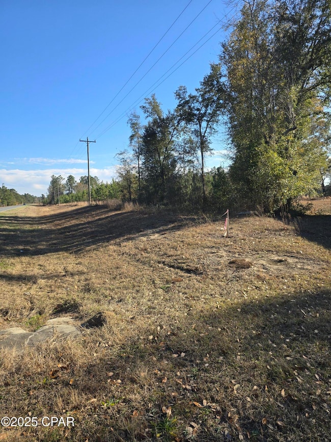 TBD Lot 4 Peanut Rd, Cottondale, FL 32431 - photo 4