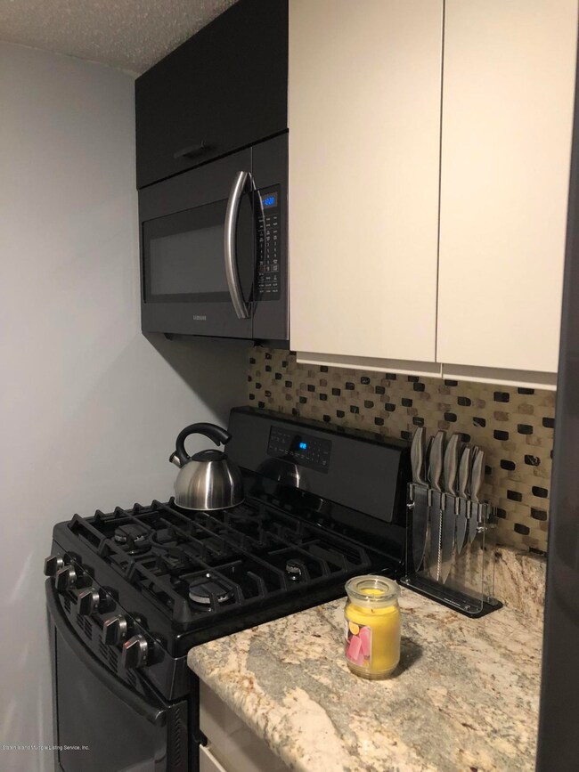 Sunrise Tower unit 1207A, Staten Island, NY 10304 - photo 3