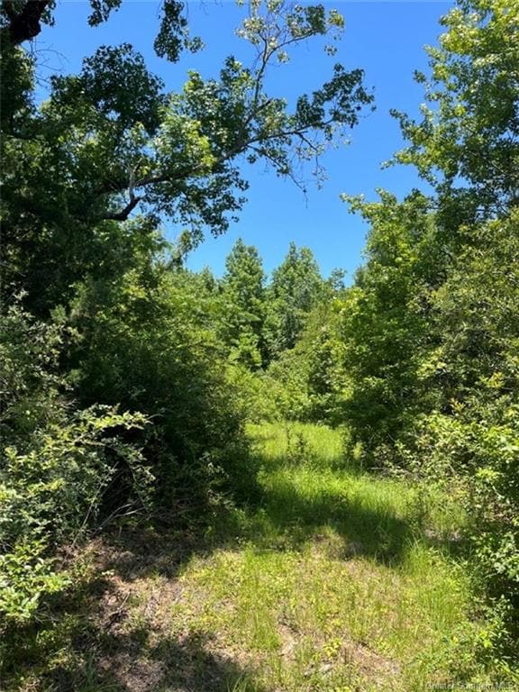 2626 Louisiana 377, Pitkin, LA - photo 3