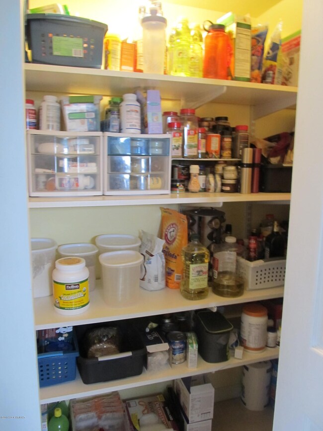 Walk-in Pantry