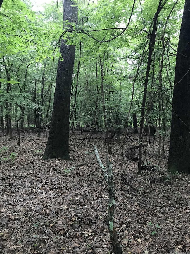 0 Highway 75-20 unit 24032576, El Dorado, AR 71730 - photo 2