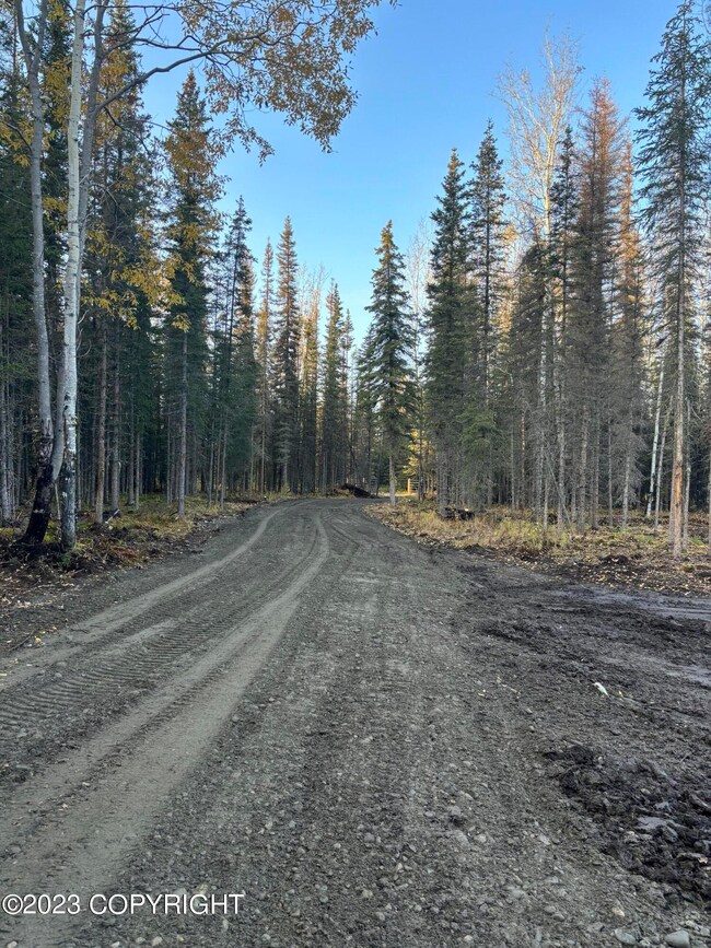 Driveway (2)