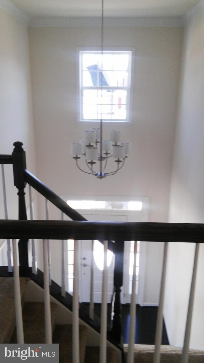 36 Orchid Ln, Stafford, VA 22554 - photo 3