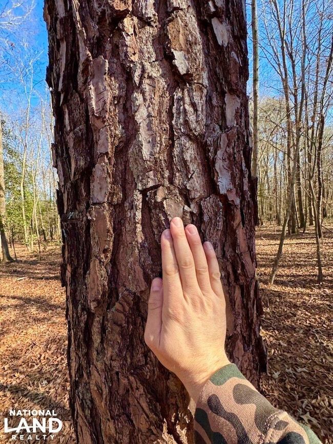 0 S Fred Cir, Kenly, NC 27542 - photo 5