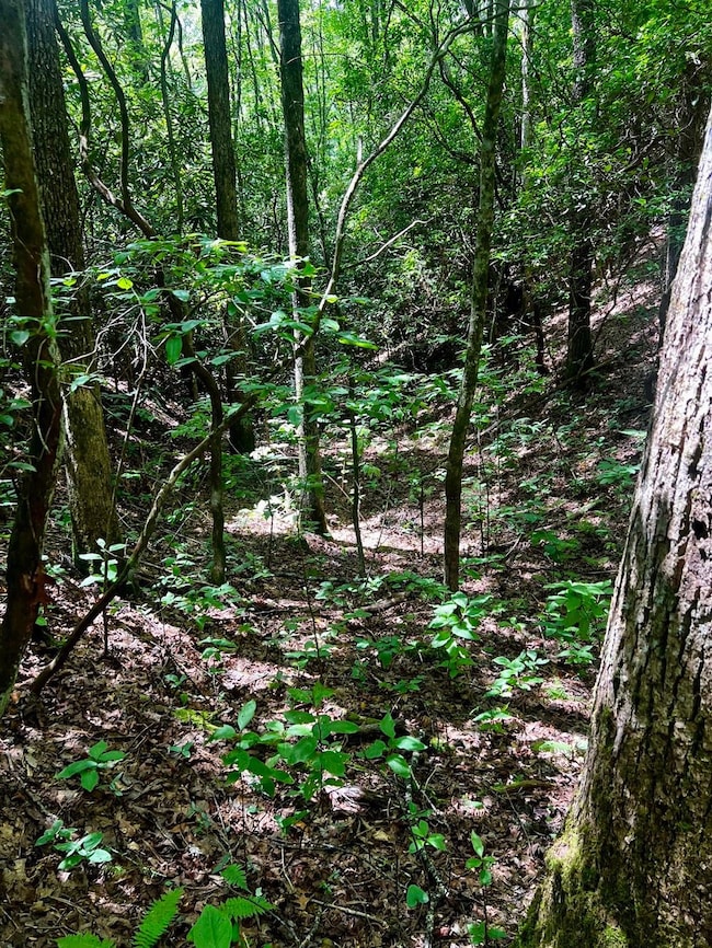 Tbd Indian Hills Drive Lot unit WP001, Murphy, NC 28906 - photo 7