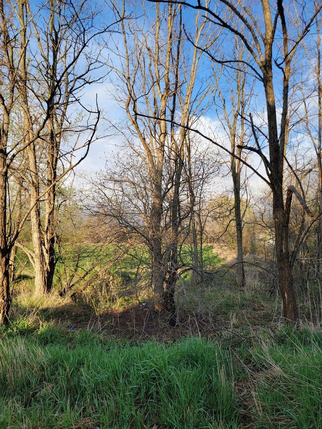 0 Gross Rd unit 23036662, Lima Township, MI 48130 - photo 3