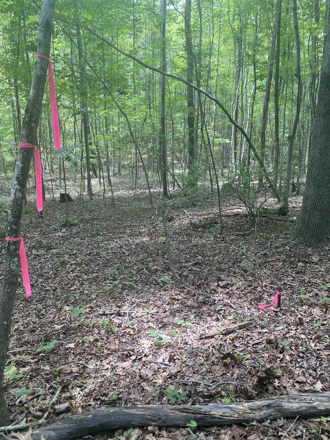 00 Dark Oaks Dr, Pittsboro, NC 27312 - photo 6