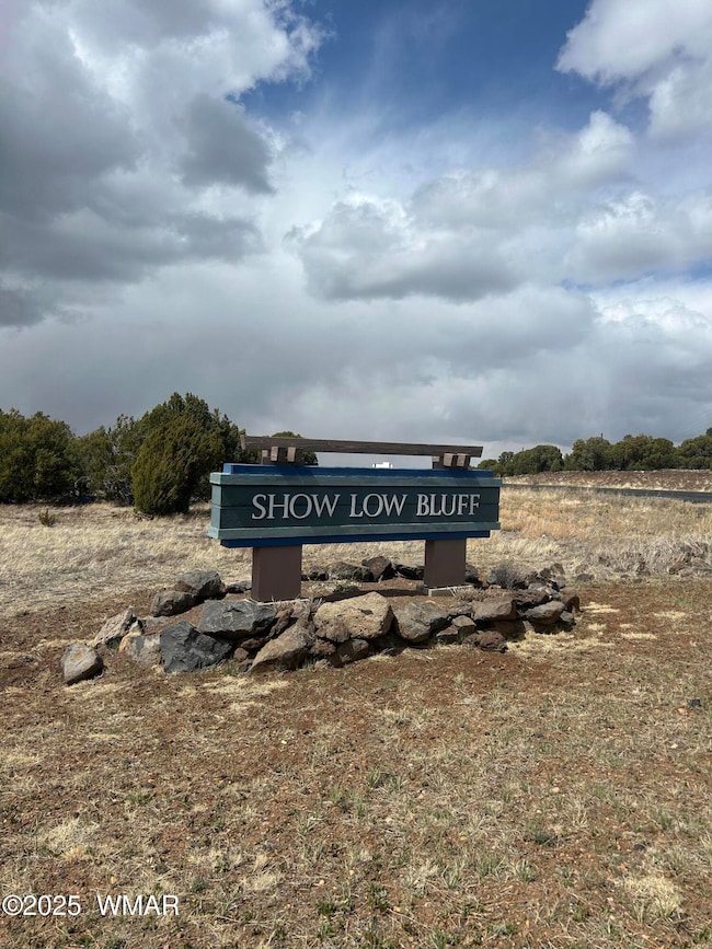 620 S Rock Ridge Dr, Show Low, AZ 85901 - photo 2