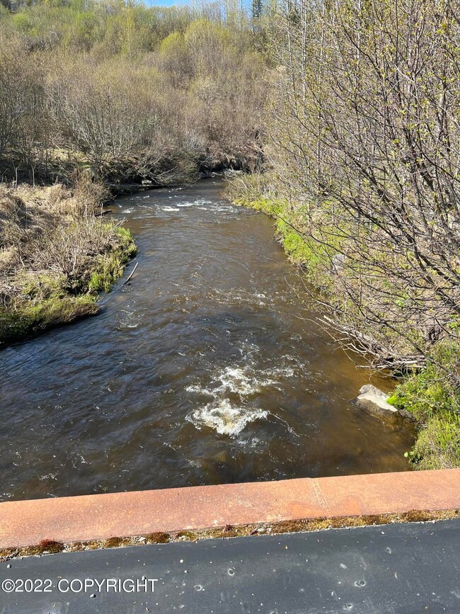 Stariski Creek (6)