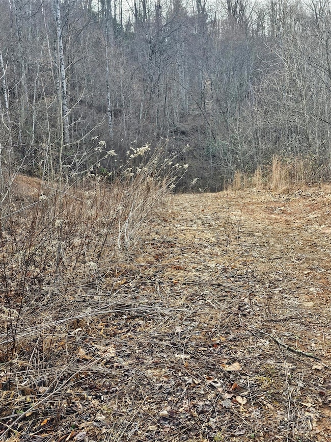 LT1 Varsity Dr, Sylva, NC 28779 - photo 6