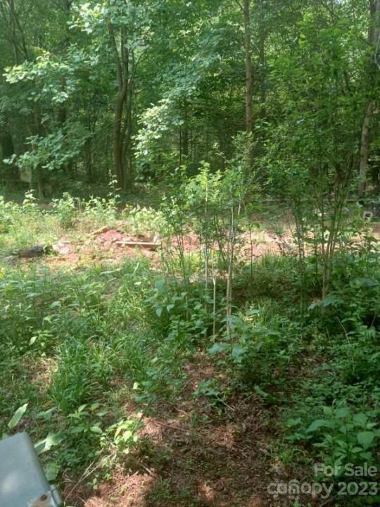 134 Pony Run Ln, Statesville, NC 28625 - photo 5