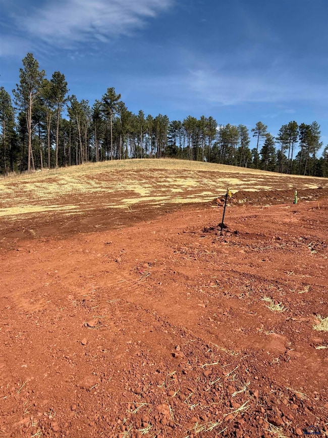 5746 Wind River Rd, Rapid City, SD 57702 - photo 3