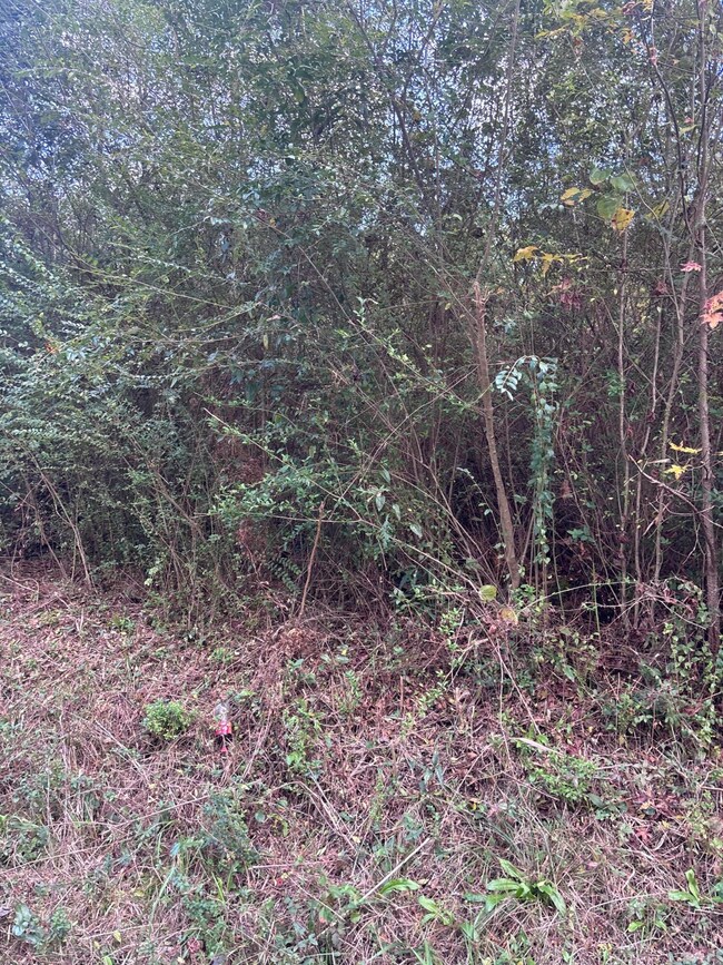 00 Phillips Rd, Sumrall, MS 39482 - photo 6