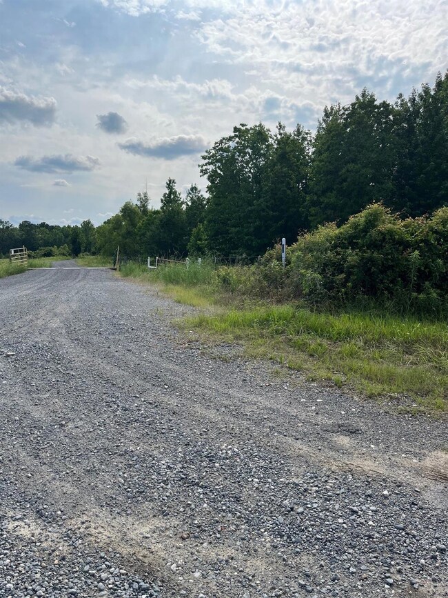 View of road