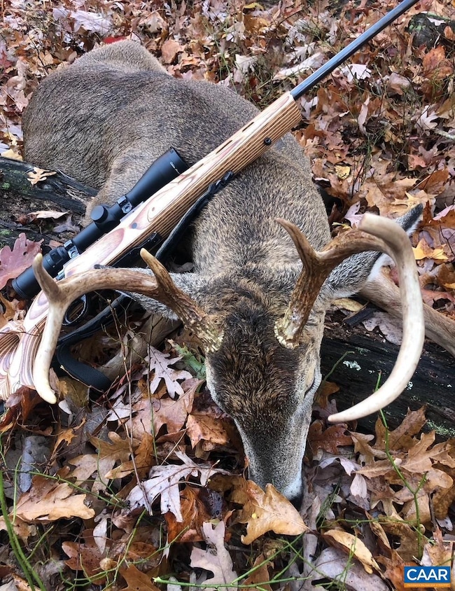 0 Passante Sr Ln unit 10 68 666509, Gordonsville, VA 22942 - photo 7