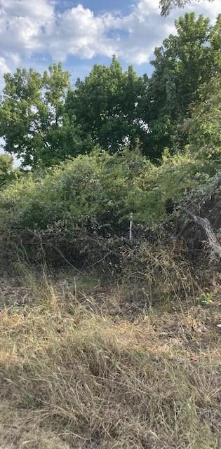 TBD Tahoka Trail, Horseshoe Bend, TX 76087 - photo 2