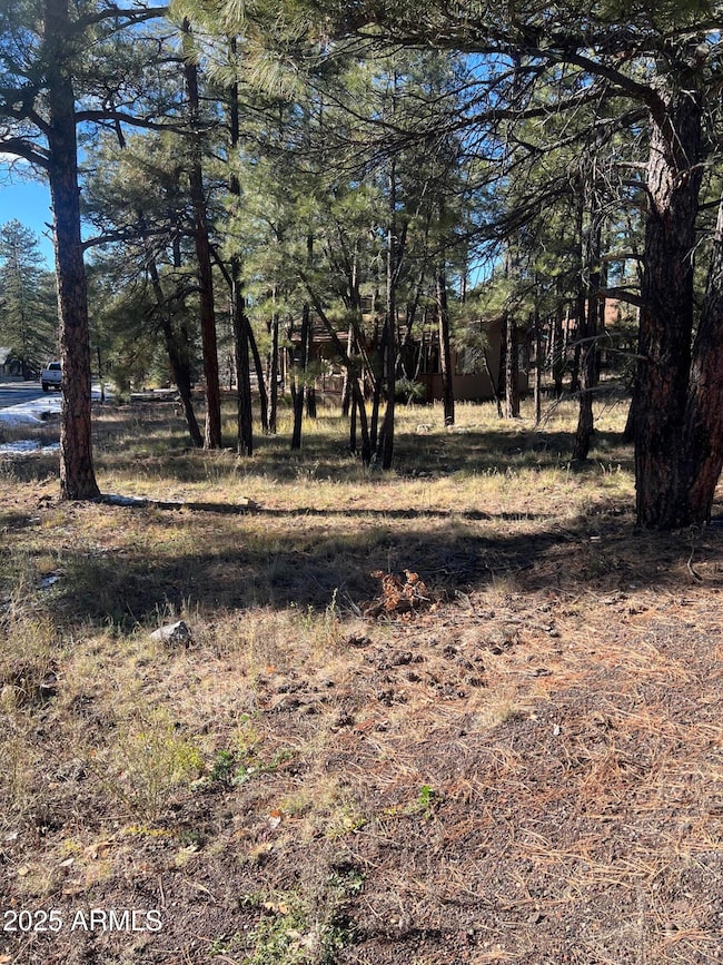 800 E Reindeer Dr, Munds Park, AZ 86017 - photo 6