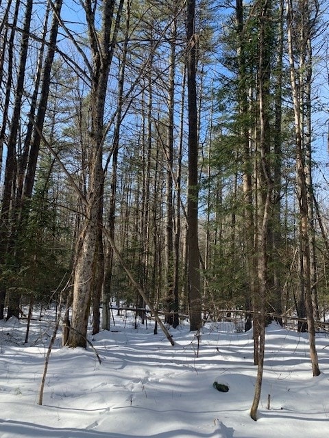 LOT 4 Lyman Rd, Lyman, NH 03585 - photo 3