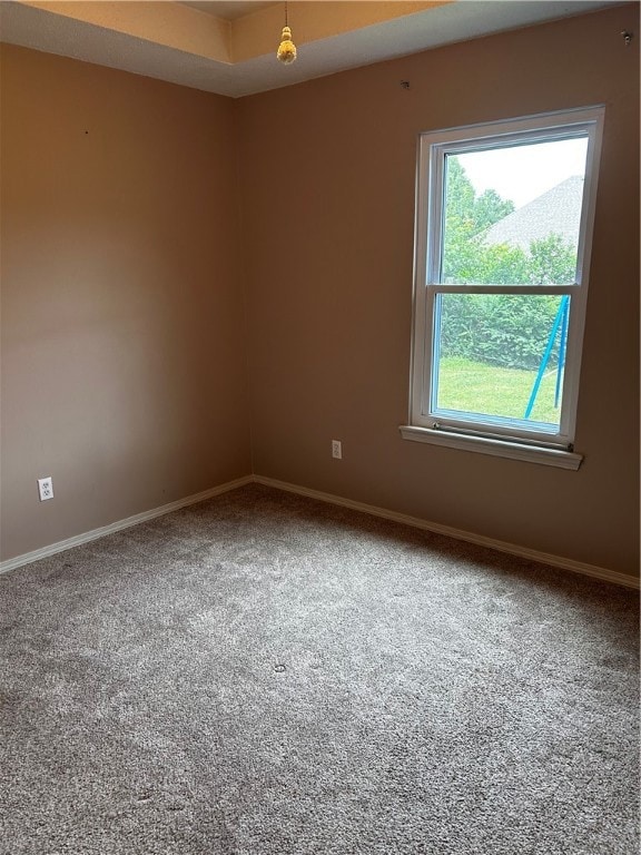 658 Walnut Ridge St, Centerton, AR 72719 - photo 6