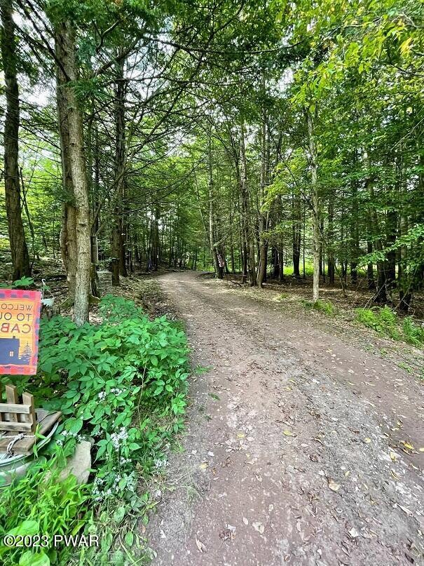 45 Jacob Rd, Waymart, PA 18472 - photo 6