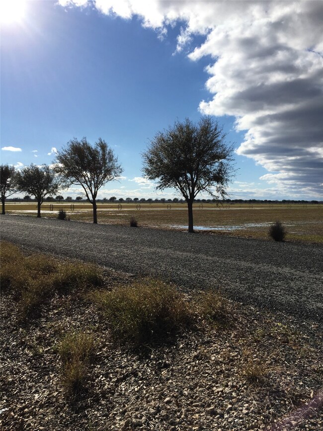 Tract C Boone Rd, Needville, TX 77461 - photo 3