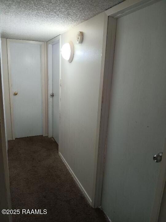 Resized_image000000002