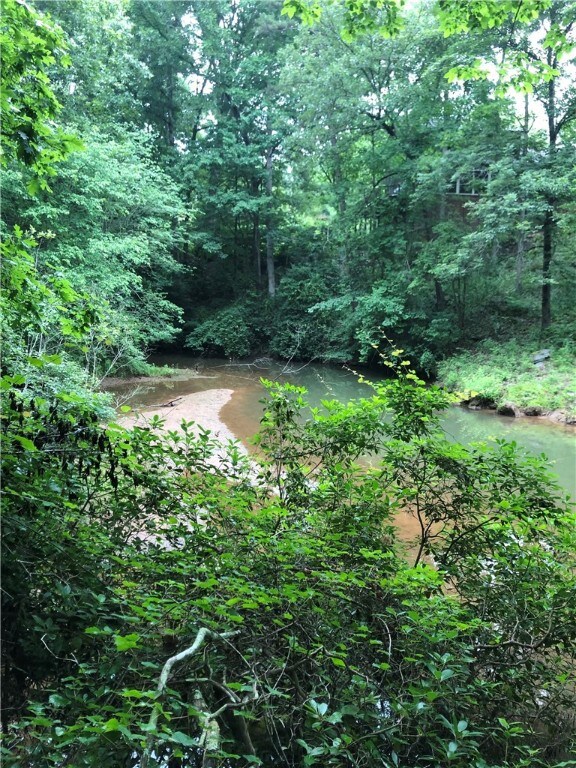 View of the cove from the shoreline