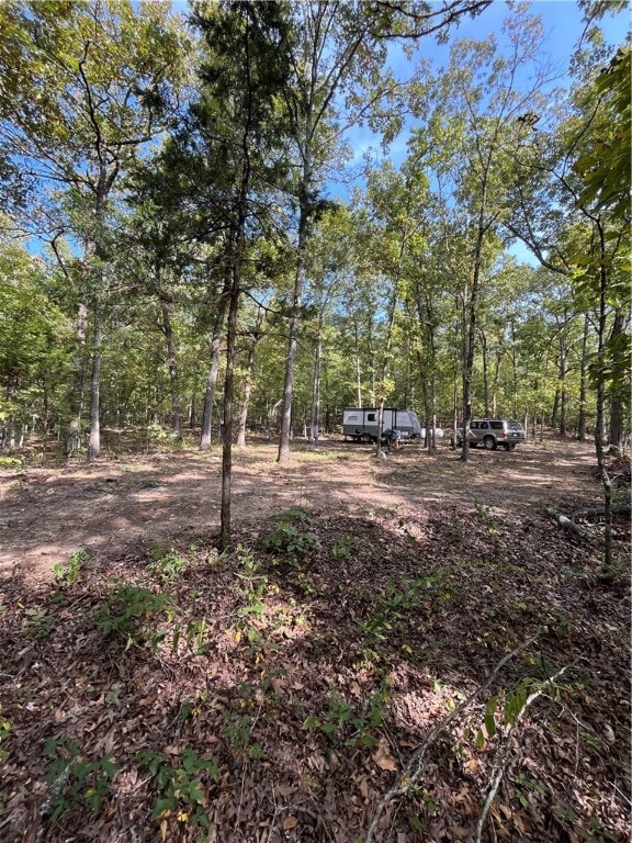 0 Nc 8659 unit 1322740, Jasper, AR 72641 - photo 6