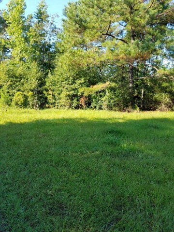 36 Clifton Seal Rd, Picayune, MS 39466 - photo 5