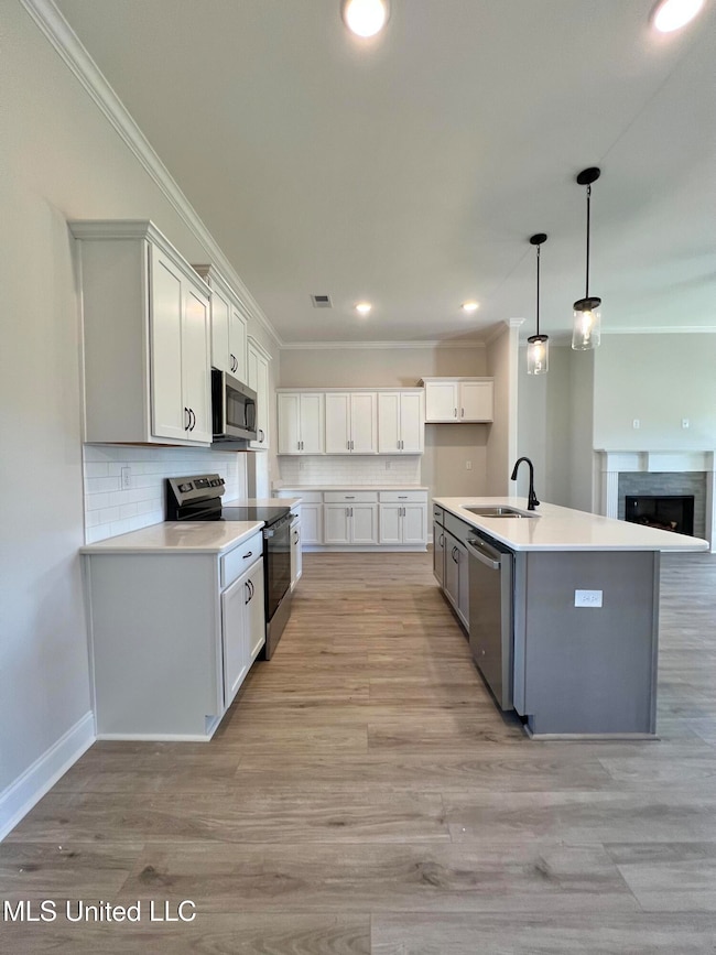 2122 Scott Meadows Ln, Hernando, MS 38632 - photo 3