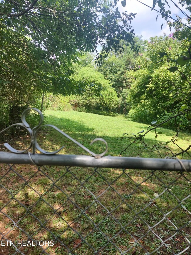 1954 Bluff Rd, Harriman, TN 37748 - photo 6