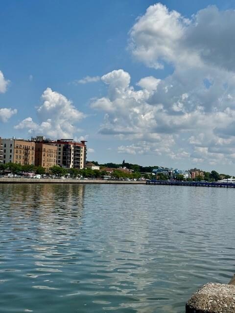 50 Shore Blvd unit H3, Brooklyn, NY 11235 - photo 3