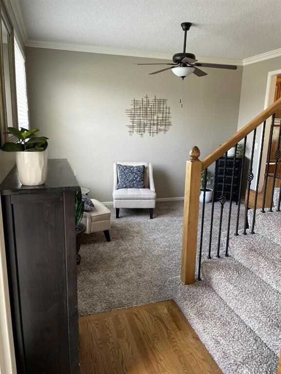 20810 S Barker Rd, Spring Hill, KS 66083 - photo 4