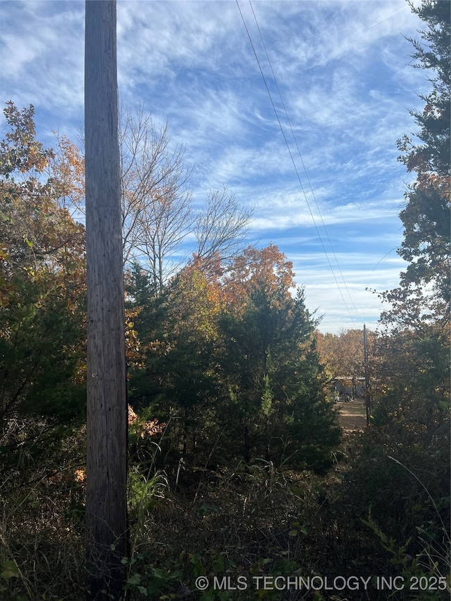 0029 Ruisdael Rd, Sand Springs, OK 74063 - photo 4