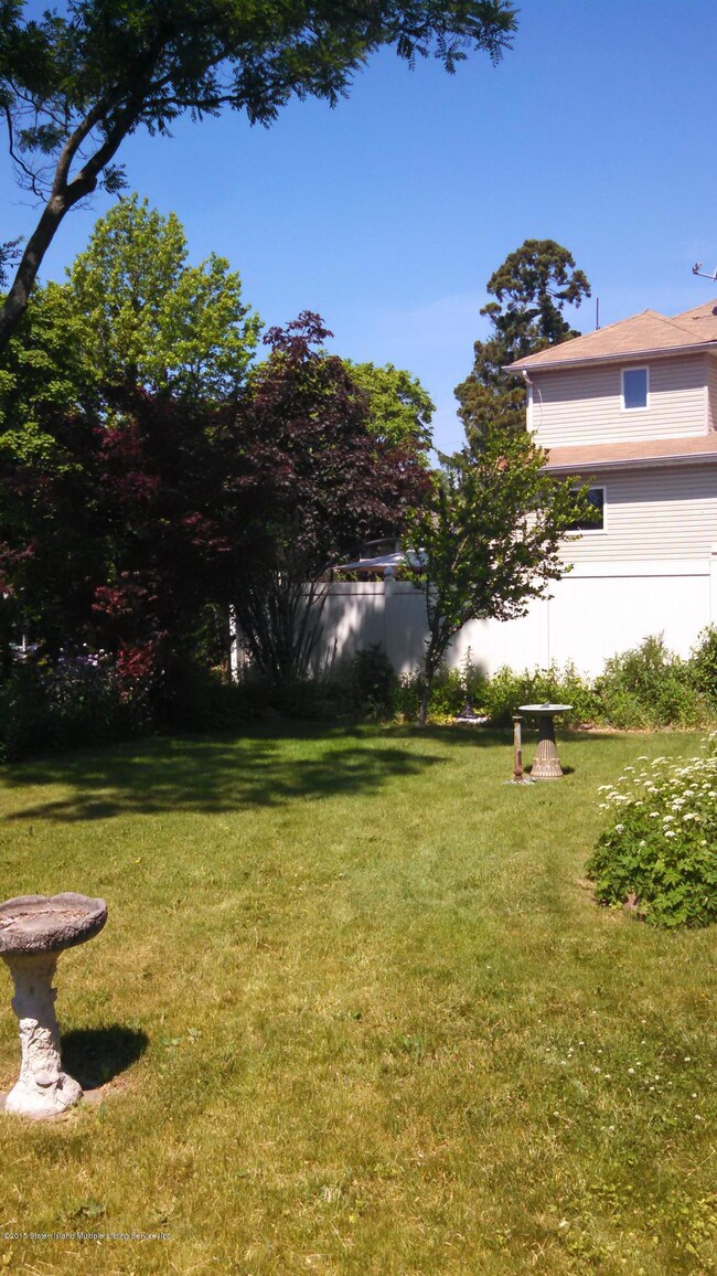 Lovely Backyard
