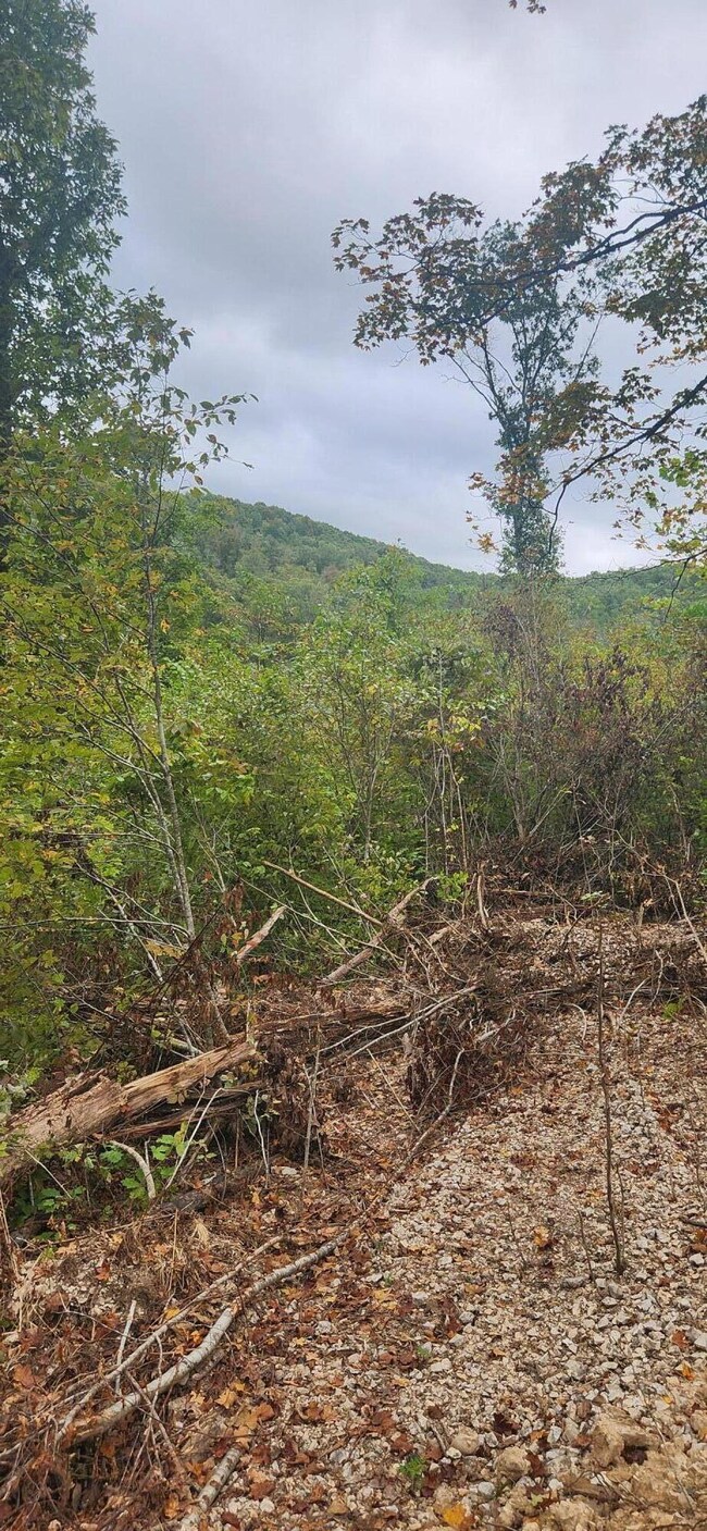 bear mtn 4
