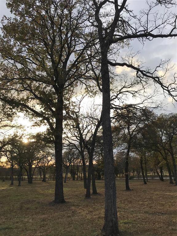 1016 Oak Bend Ln, Weatherford, TX 76088 - photo 2