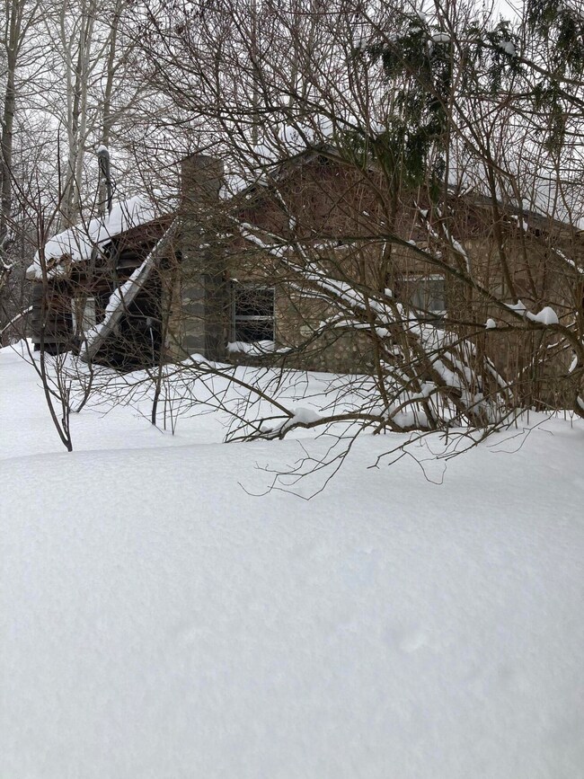 11511 Huffman Lake Rd, Vanderbilt, MI 49795 - photo 5