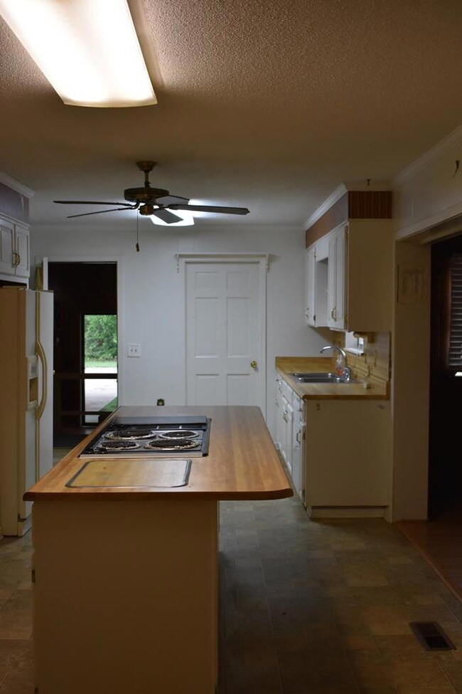 126 Phillips Rd, Damascus, GA 39841 - photo 2