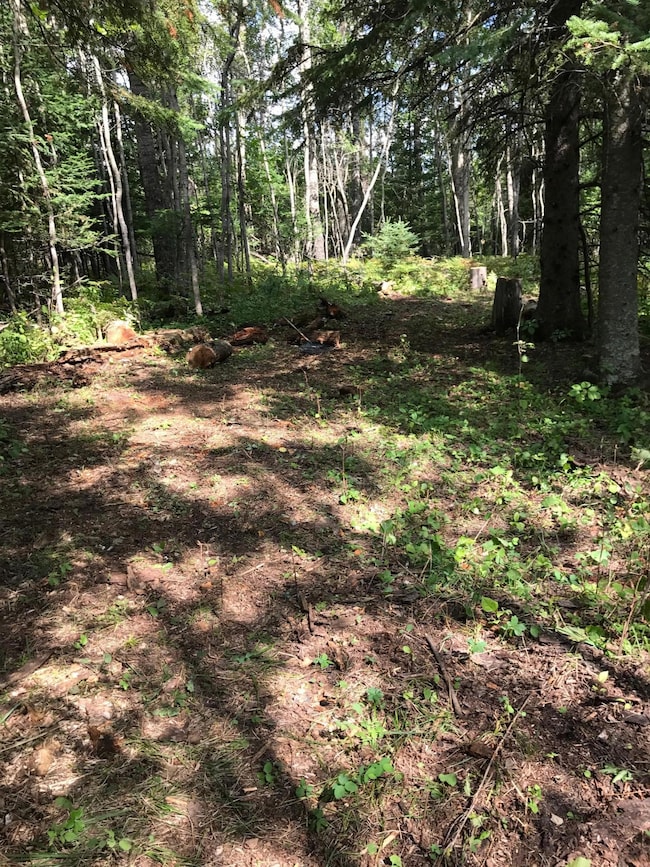 Sec: 2 TWP: 61.0 RG:, Alango Township, MN 55703 - photo 6